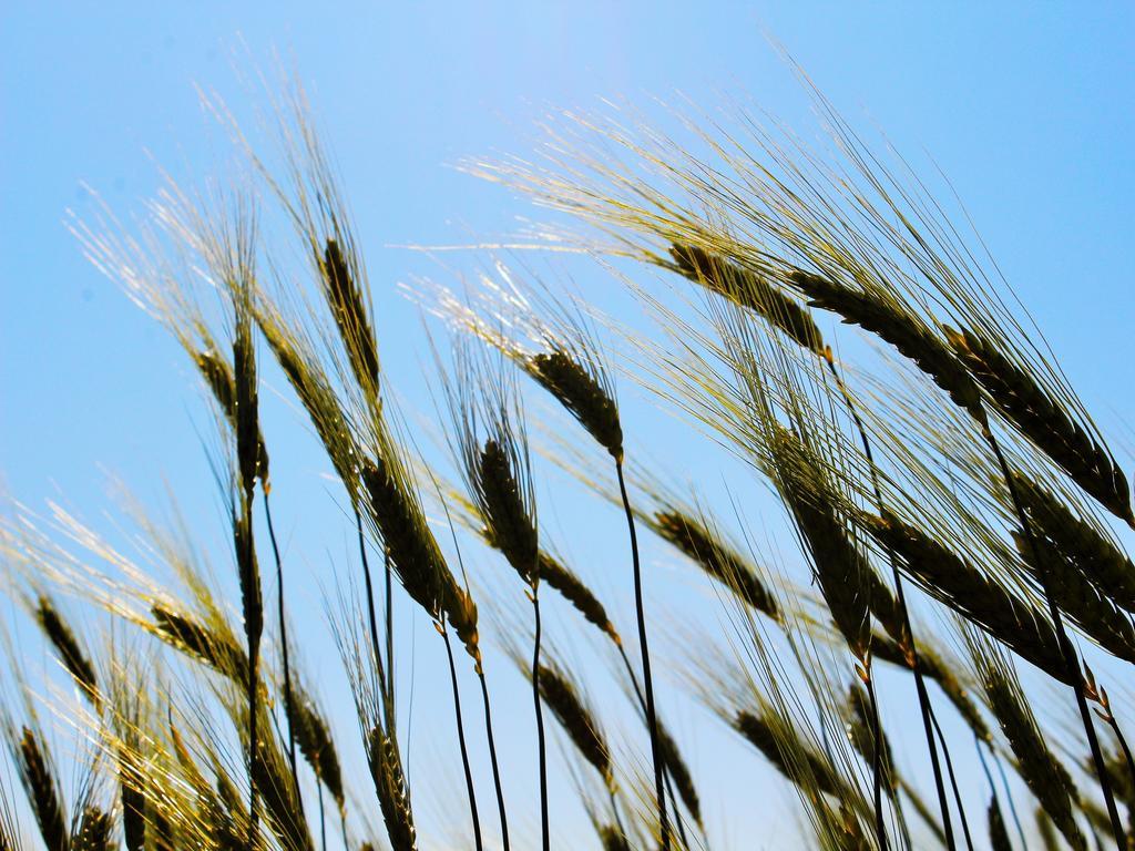 Вілла Agri Rio Rio Salso Di Tavullia Екстер'єр фото